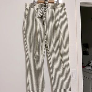 Zara Pants
